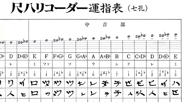 ڔR[_[