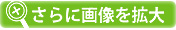 ɉ摜g